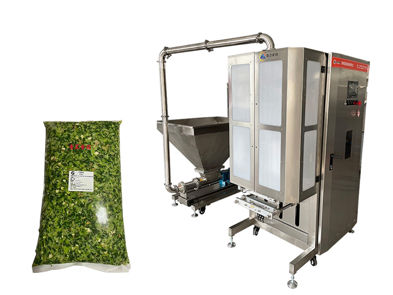 FM-G10全自動高速粘體稱重包裝機(jī)-螺桿泵